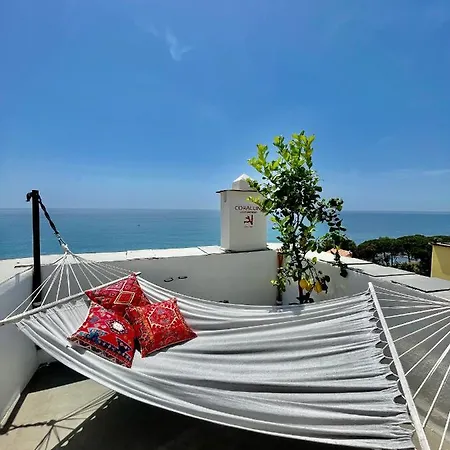 Corallini Luxury - Aka * Cervo