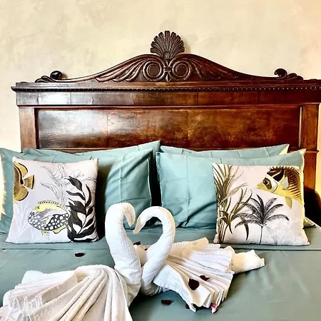 Corallini Luxury - Aka
